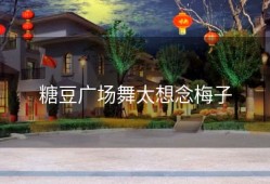 糖豆广场舞太想念梅子