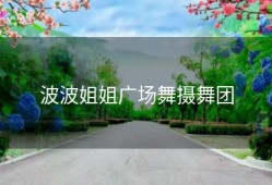 波波姐姐广场舞摄舞团