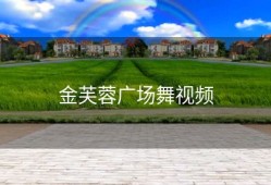 金芙蓉广场舞视频