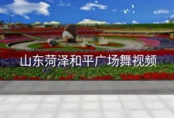 山东菏泽和平广场舞视频