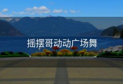 摇摆哥动动广场舞