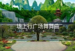 垅上行广场舞舞曲