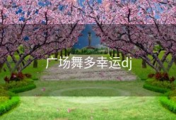 广场舞多幸运dj