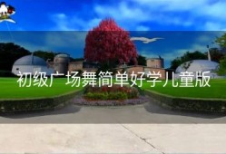 初级广场舞简单好学儿童版
