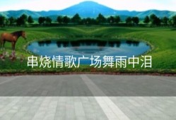 串烧情歌广场舞雨中泪