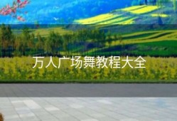 万人广场舞教程大全