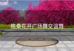 格桑花开广场舞交谊舞