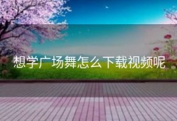 想学广场舞怎么下载视频呢