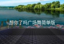 想你了吗广场舞简单版