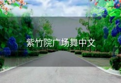 紫竹院广场舞中文