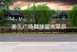 美久广场舞放爱大草原