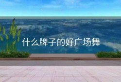 什么牌子的好广场舞