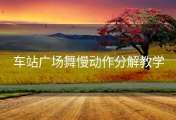 车站广场舞慢动作分解教学