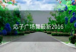 応子广场舞最新2016