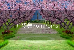 广场舞PomPoms