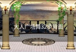 大人广场舞32步背面