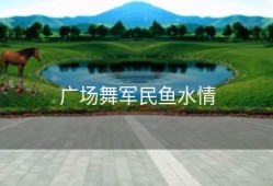 广场舞军民鱼水情