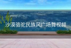 沙漠骆驼民族风广场舞视频