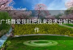 广场舞爱我就把我来追求分解动作
