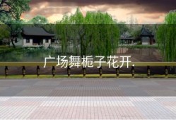 广场舞栀子花开.