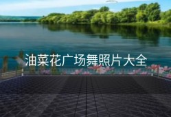 油菜花广场舞照片大全