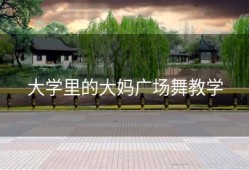 大学里的大妈广场舞教学