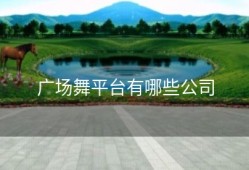 广场舞平台有哪些公司