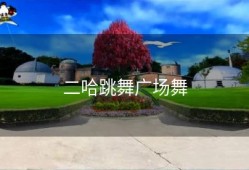 二哈跳舞广场舞