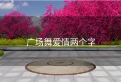 广场舞爱情两个字
