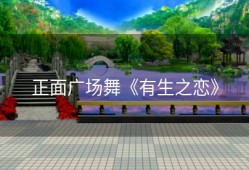 正面广场舞《有生之恋》