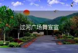 过河广场舞宣宣