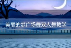 美丽的梦广场舞双人舞教学