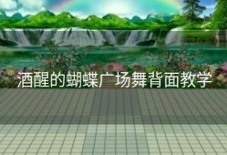 酒醒的蝴蝶广场舞背面教学