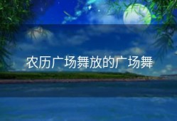 农历广场舞放的广场舞