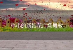 小小的新娘花广场舞教