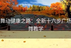 舞动健康之路：全新十六步广场舞教学
