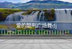 爱的酷刑广场舞dj