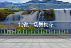 北雀广场舞梅花
