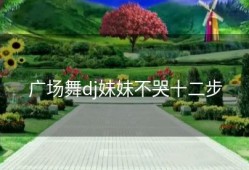 广场舞dj妹妹不哭十二步