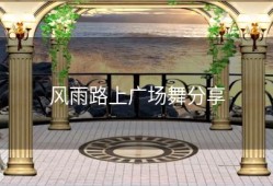 风雨路上广场舞分享