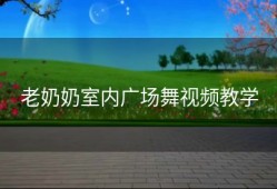 老奶奶室内广场舞视频教学
