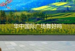 华中国际广场舞好吗