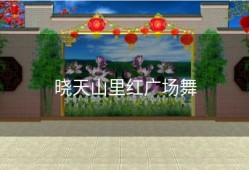 晓天山里红广场舞