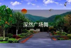 深然广场舞