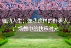 舞动人生：像我这样的好男人，广场舞中的快乐时光