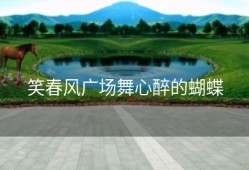 笑春风广场舞心醉的蝴蝶