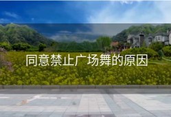 同意禁止广场舞的原因