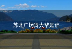 苏北广场舞大爷是谁