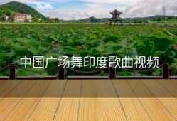 中国广场舞印度歌曲视频