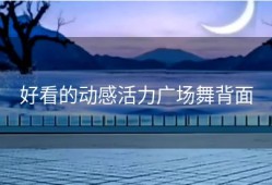 好看的动感活力广场舞背面